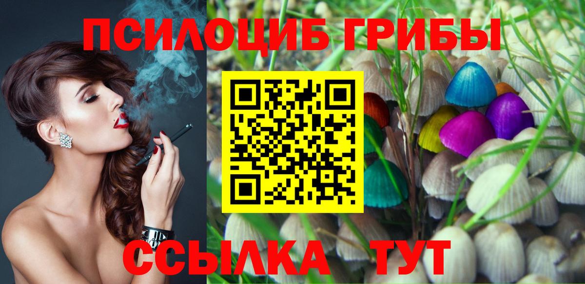 Псилоцибиновые грибы мицелий Феодосия